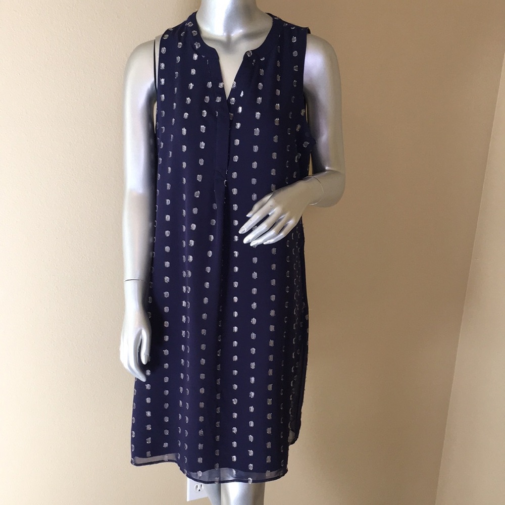 CROWN & IVY | Metallic Clip-Dot Dress